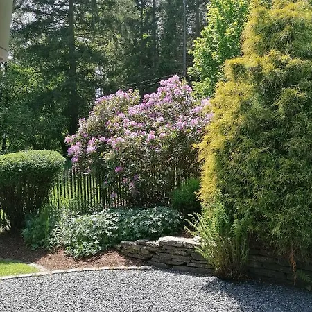 Les Rainettes בית נופש Grand-Halleux