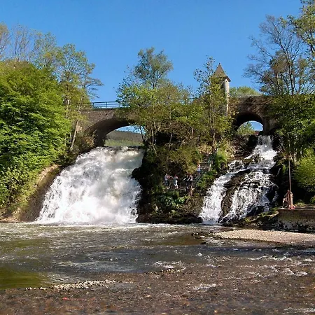 Les Rainettes * Grand-Halleux