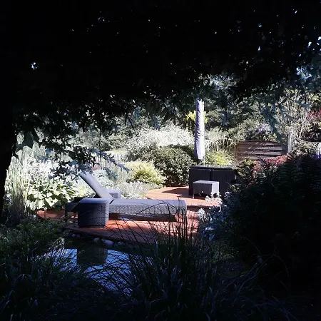 Les Rainettes * Grand-Halleux