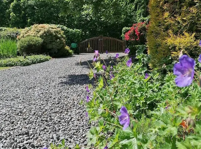 Les Rainettes Hébergement de vacances Grand-Halleux