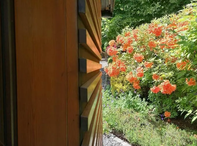 Ferienhaus Les Rainettes Grand-Halleux
