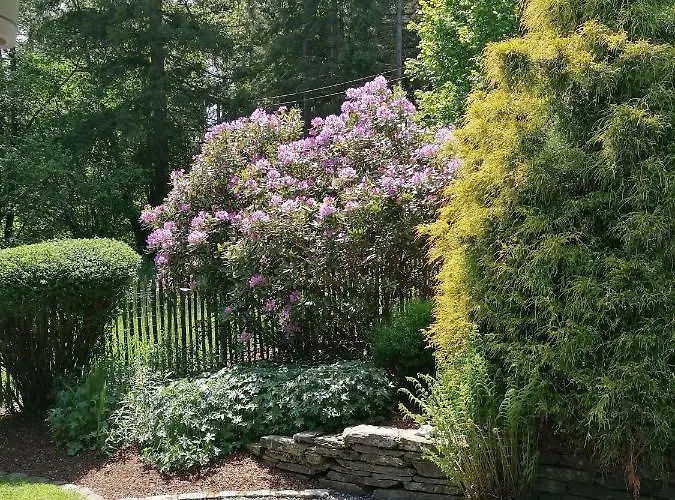 Les Rainettes Hébergement de vacances Grand-Halleux