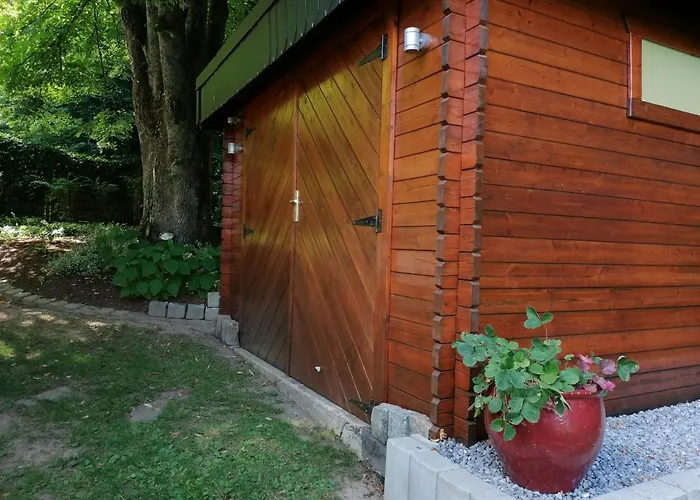 Les Rainettes Grand-Halleux