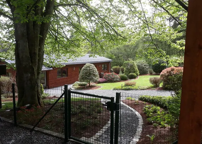 Les Rainettes Grand-Halleux