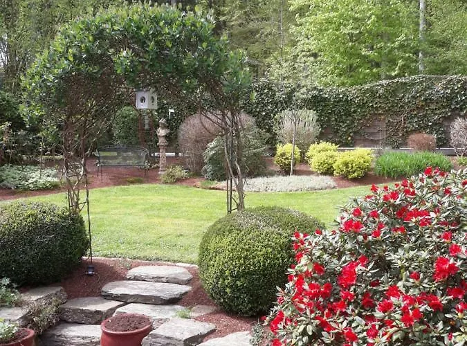 Les Rainettes * Grand-Halleux