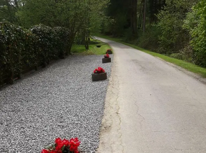 Les Rainettes Hébergement de vacances