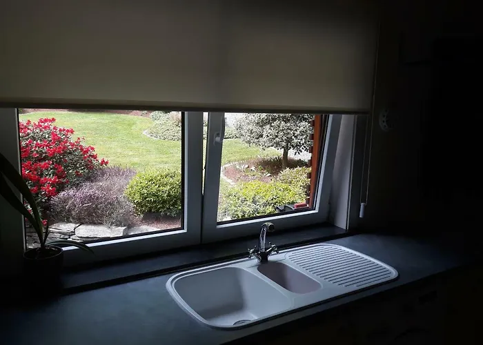 Les Rainettes * Grand-Halleux