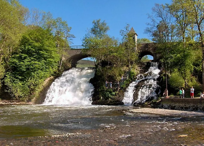 Les Rainettes * Grand-Halleux