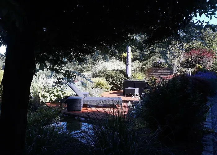 Les Rainettes * Grand-Halleux